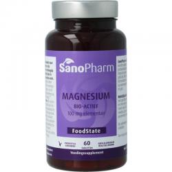 FoodState magnesium 100 mg