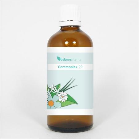 HGP029 Gemmoplex bekken man