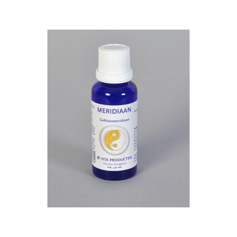 Meridiaan galblaas meridiaan