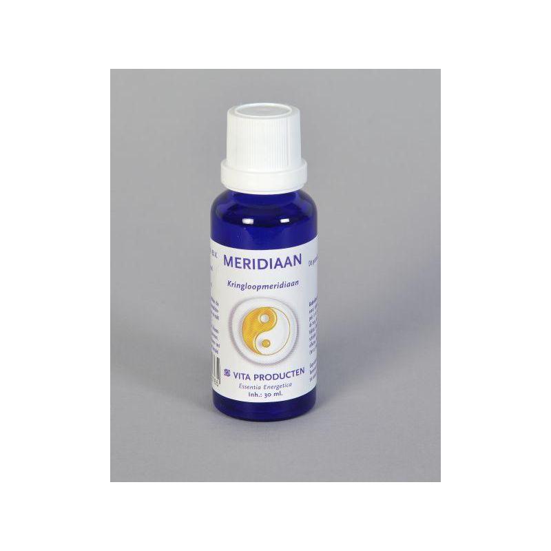 Meridiaan kringloopmeridiaan