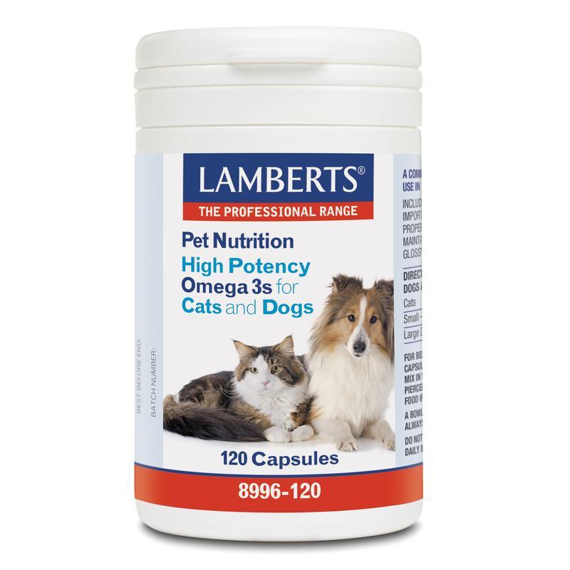 Omega 3 voor dieren hond en kat