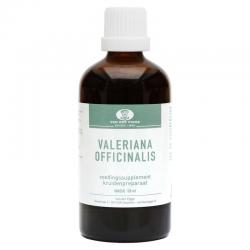 Valeriana officinalis
