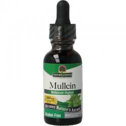Mullein verbascum thapsus extract alcoholvrij