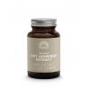 Organic sint janskruid extract 300mg