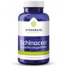 Echinacea 600 purpurea (4%) angustifolia (6%, 4%)