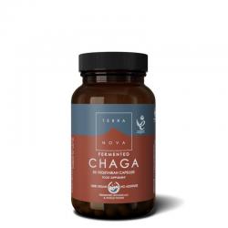 Fermented chaga
