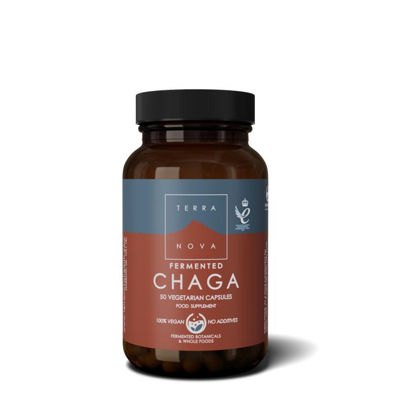 Fermented chaga