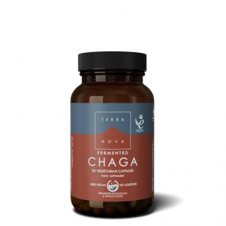 Fermented chaga