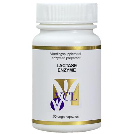 Lactase enzyme