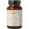 Glutathion liposomaal