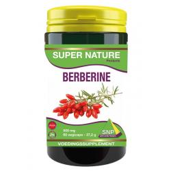 Berberine 500mg puur