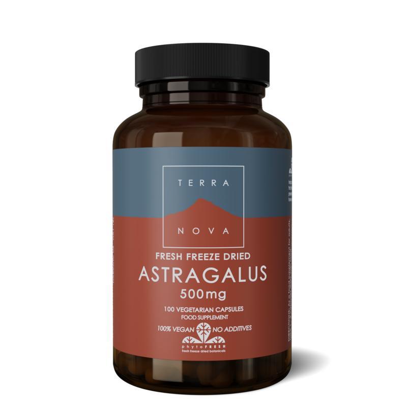 Astragalus 500mg Astragalus 500mg