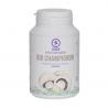 Champignon bio