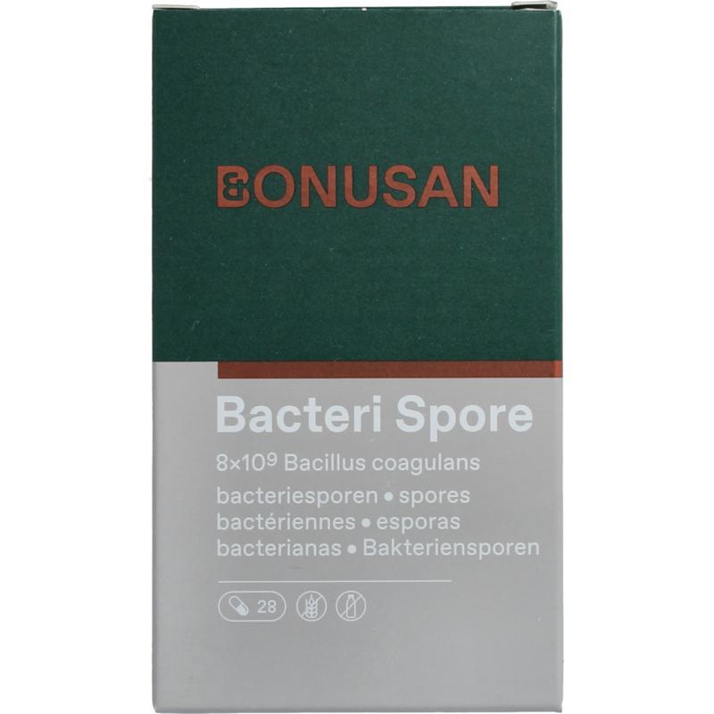 Bacteri spore