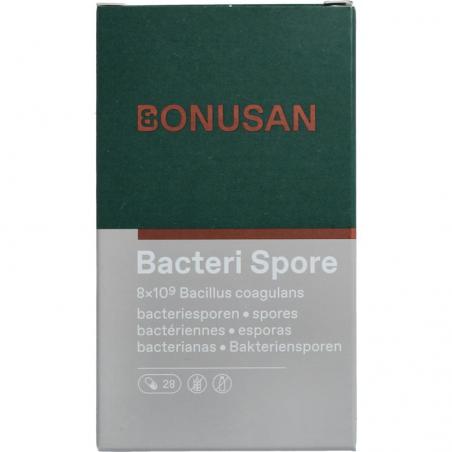 Bacteri spore