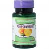 Pompoenpitolie 500mg