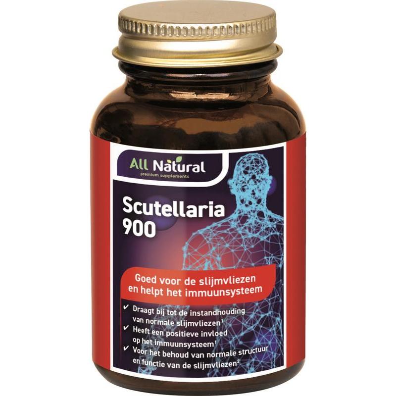 Scutellaria