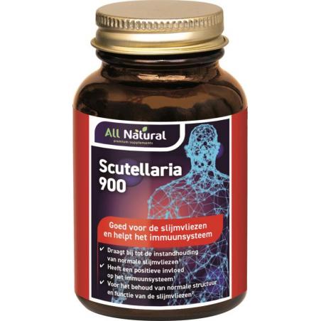 Scutellaria