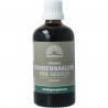 Organic Dennennaalden complex tinctuur bio
