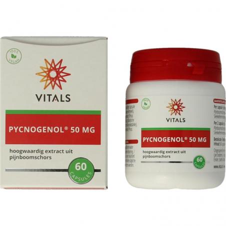 Pycnogenol