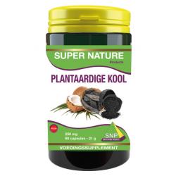 Plantaardige kool 250mg puur