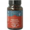 Prenatal multivitamin complex