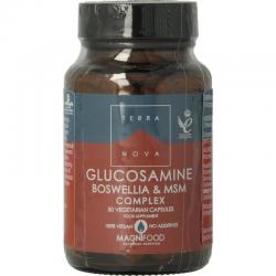 Glucosamine boswellia & MSM complex