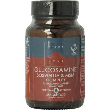 Glucosamine boswellia & MSM complex