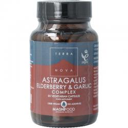 Astragalus elderberry & garlic complex