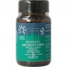 Green child friendly microflora