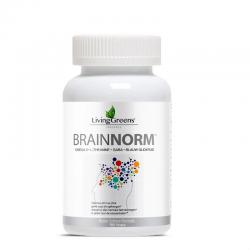 Brainnorm
