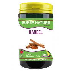 Kaneel cinnamomum verum 500mg puur