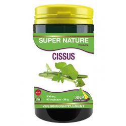 Cissus 500mg puur