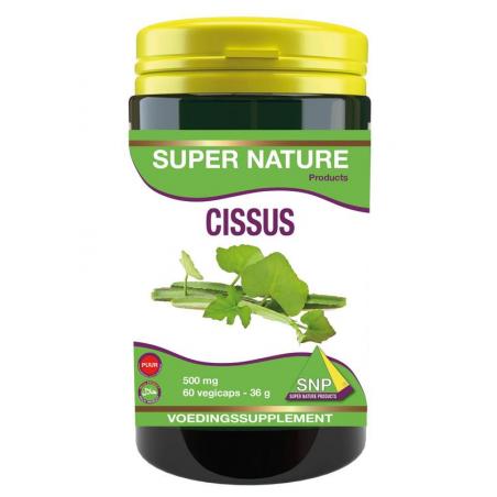 Cissus 500mg puur