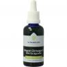 Vegan Omega 3 algenolie 1250 tryglyceriden 500 DHA