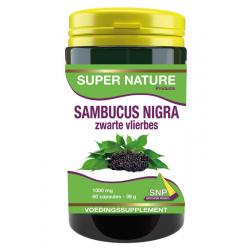 Sambucus nigra zwarte vlierbes