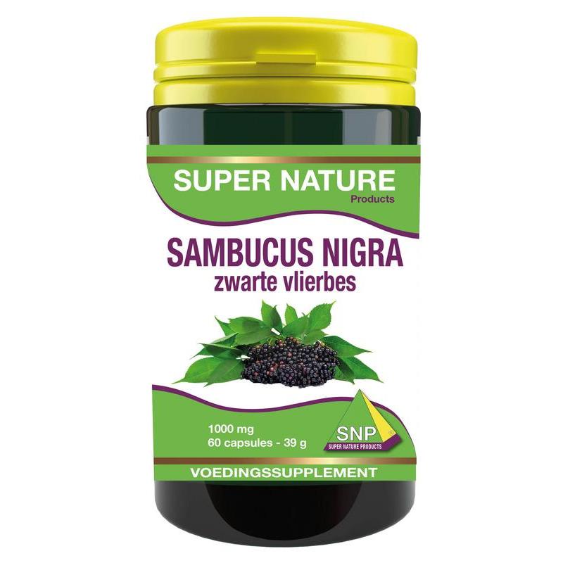 Sambucus nigra zwarte vlierbes