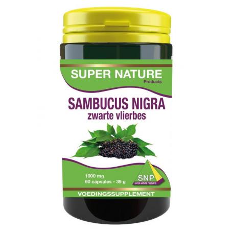 Sambucus nigra zwarte vlierbes