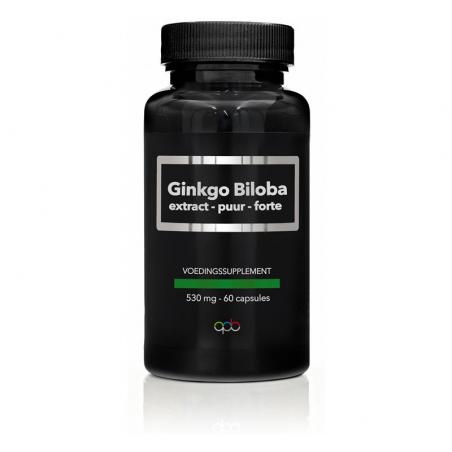 Ginkgo biloba