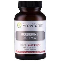 Berberine 500mg Rebersa