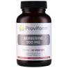 Berberine 500mg Rebersa