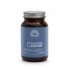 Gefermenteerde L-Leucine 500mg