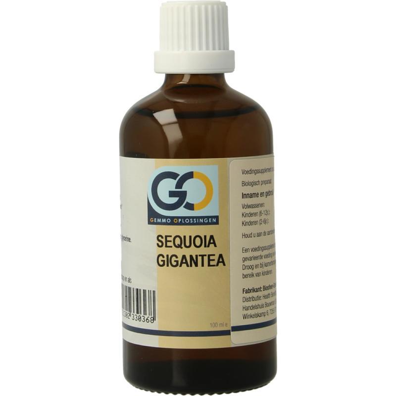 Sequoia gigantea bio