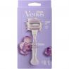 Venus Venus confortgl breeze