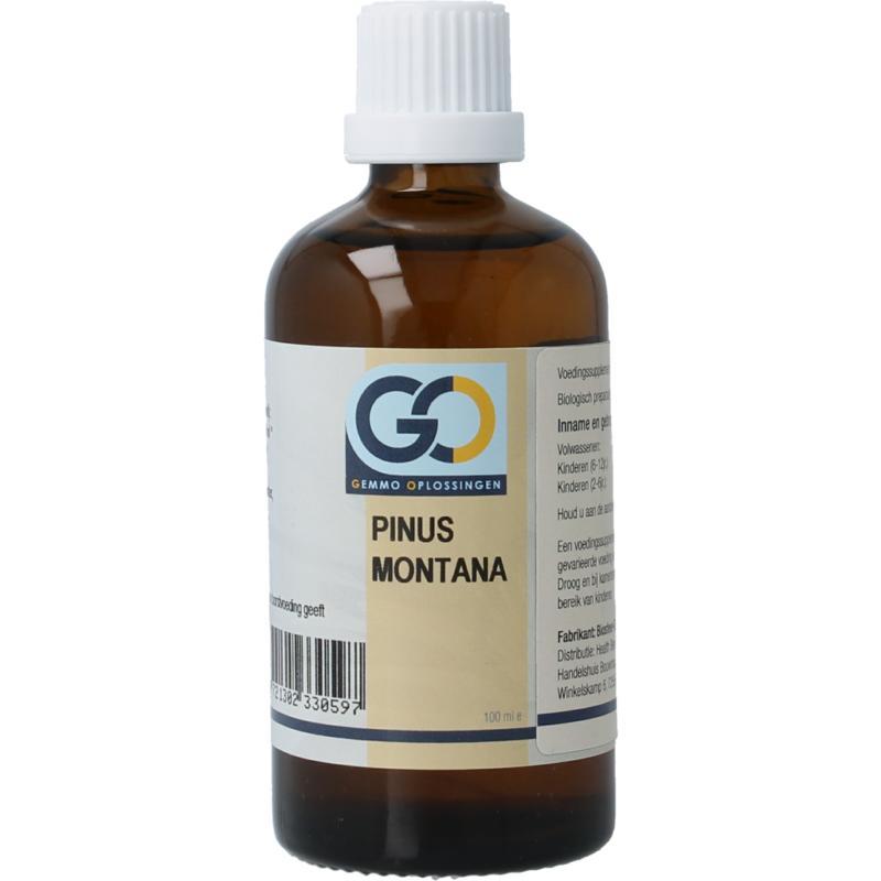 GO GO pinus montana bio