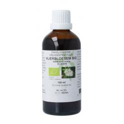 Sambucus nigra / vlierbloesem tinctuur bio