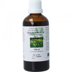 solidago virg/guldenroede