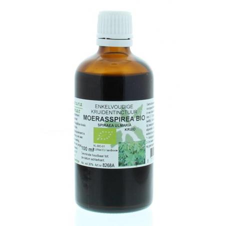spiraea ulm/moerasspirea bio