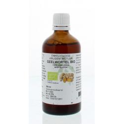 curcuma longa/geelwortel bio