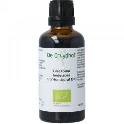 Glechoma hederacea/hondsdraf bio